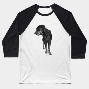 rottweiler Baseball T-Shirt